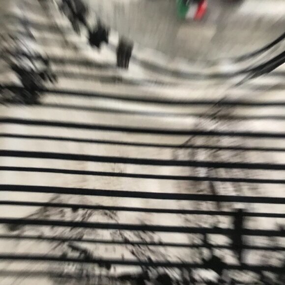 NWOT - Tarcisio Short Sleeves Crew Neck Palms Design Black n White  Shirt - Picture 5 of 7
